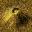 (0,9) �R 