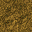 (5,5) �r�n 