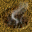 (6,6) �r�n 